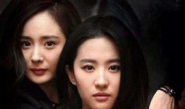 娱乐圈之大家都是吃瓜人,全民吃瓜，揭秘明星幕后故事