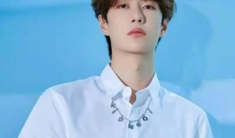 王一博最新吃瓜爆料结果,揭秘明星背后的真实故事